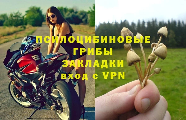 стафф Алексеевка