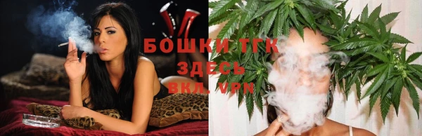 тгк Пролетарск